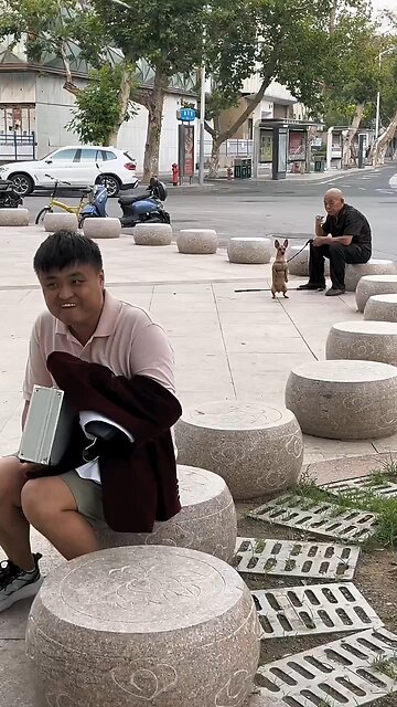 Dog Sound Prank Gone Too Far #doglovers #animalsfunnyvideos #prankwothdogs #AakboR #IamaakboR