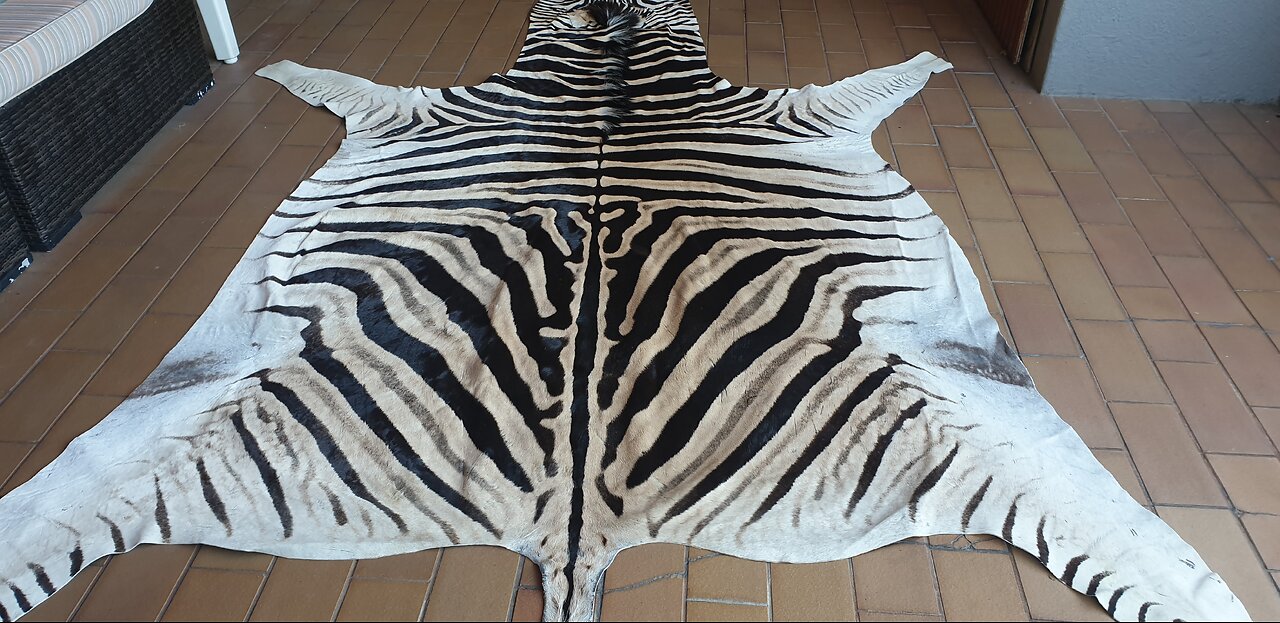 Big Zebra skin