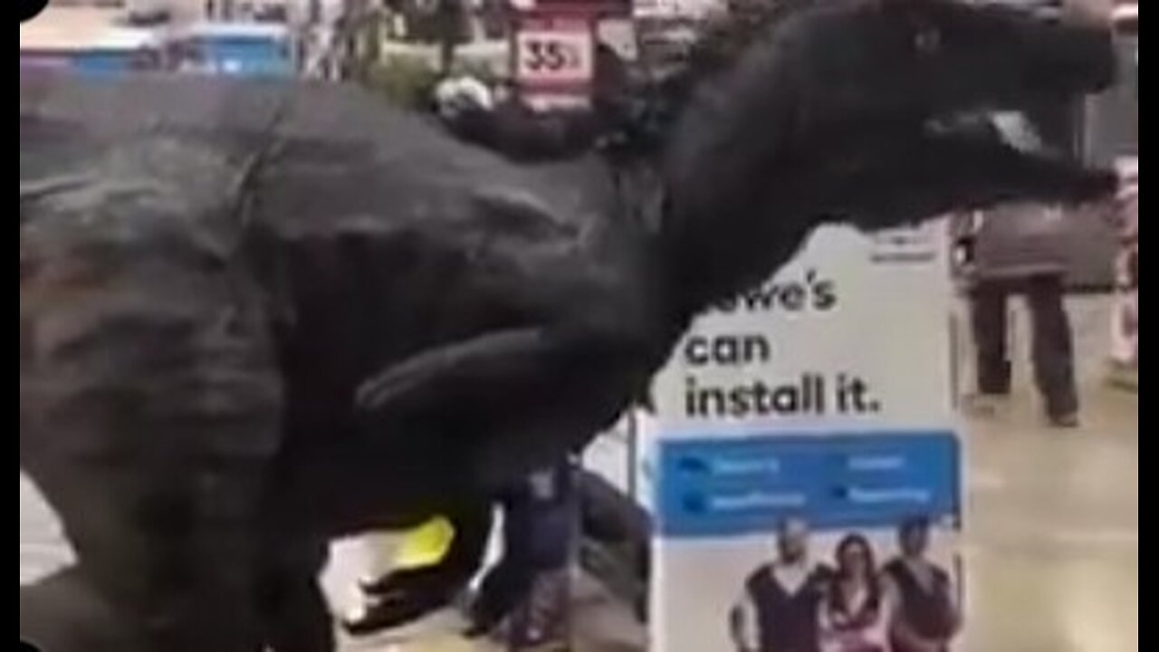 Concerned Citizen - Bro just won the Halloween Competition to end all Halloween Competition