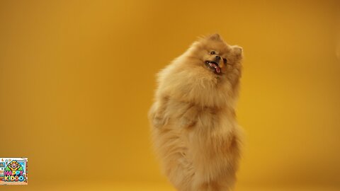 The Dancing Dane Presents! 🐶💃 Fun Dancing Dog Video for Kids - Portrait Format