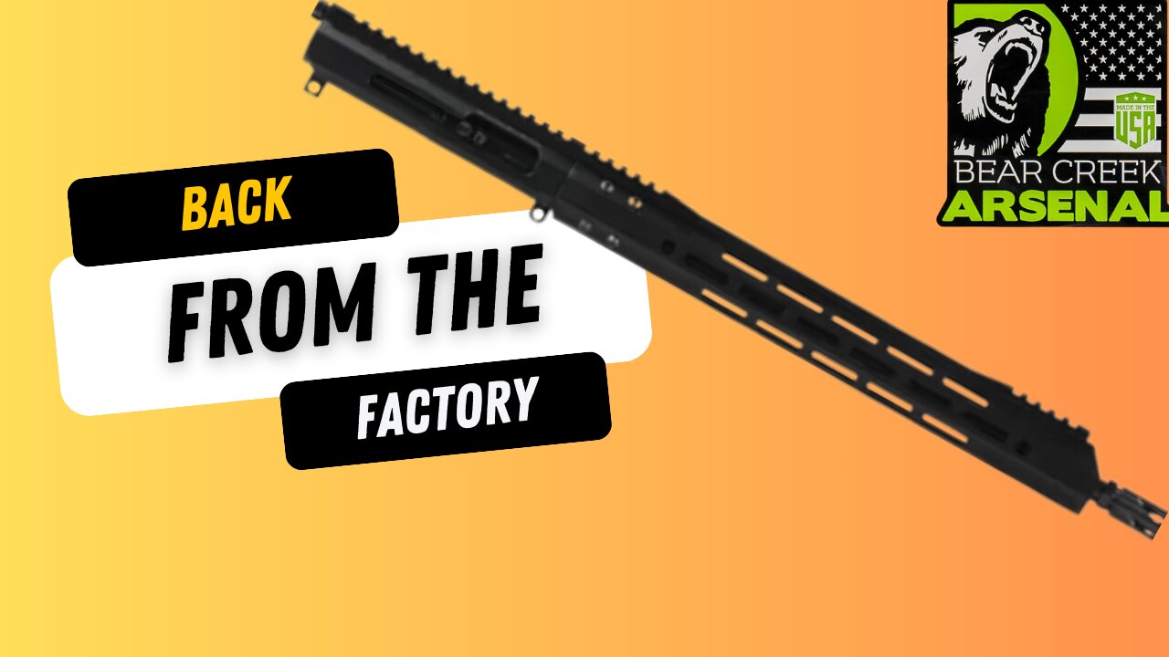 Bear Creek Arsenal .22LR – Issue or Just Ammo Picky?