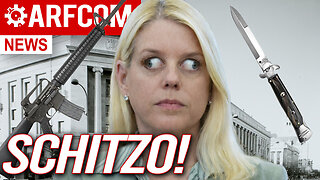 Dick's Endless Background Check + The Grinch Who Stole Super Safeties + Pam Bondi's SCHIZO DoJ