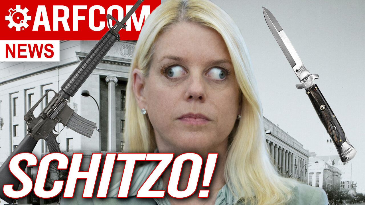 Dick's Endless Background Check + The Grinch Who Stole Super Safeties + Pam Bondi's SCHIZO DoJ