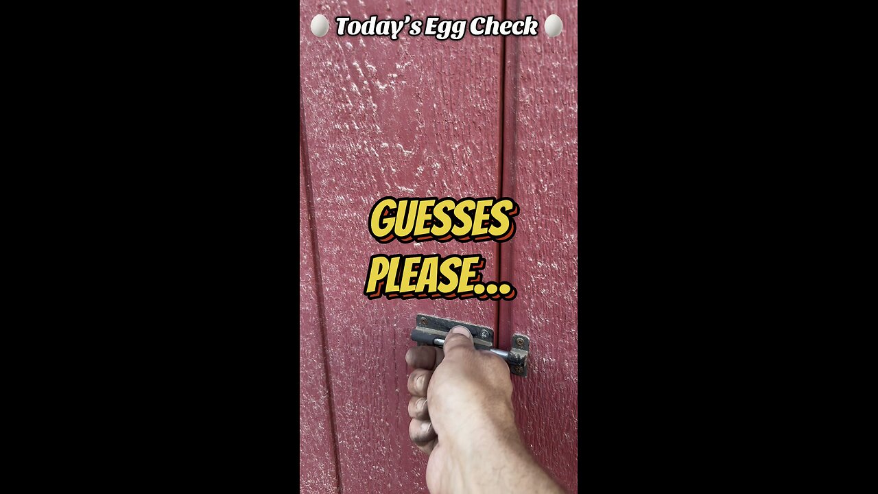 🥚 Thursday’s Egg Check! 🥚