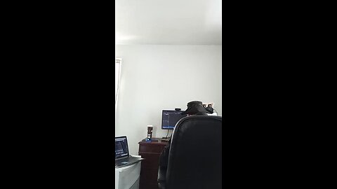 the wellerman (game dev version)