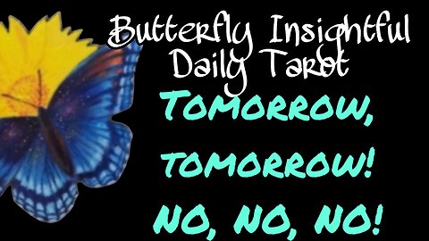 Butterfly Insightful Daily Tarot - Tomorrow never comes! Follow your dreams!