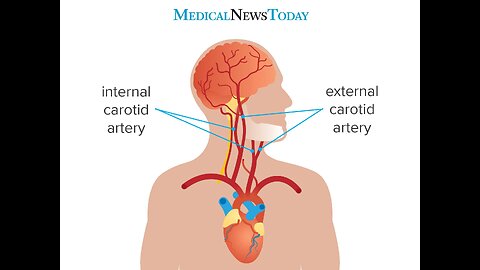 5 biggest medical fact