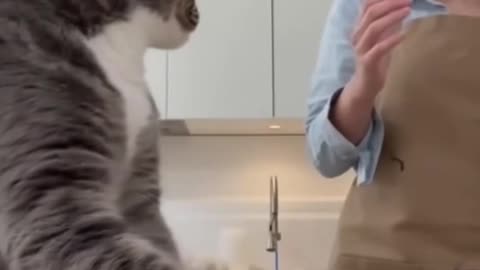 Quit hassling me lady 😂