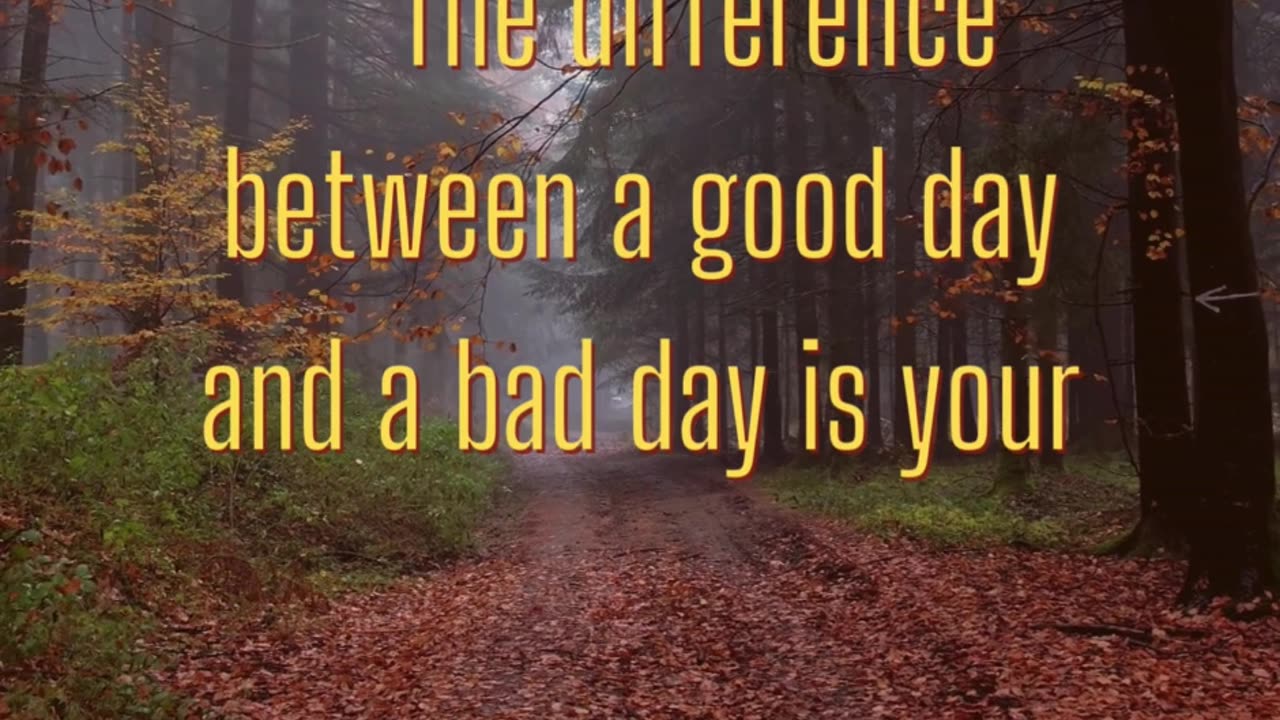 Motivation Quote of the week