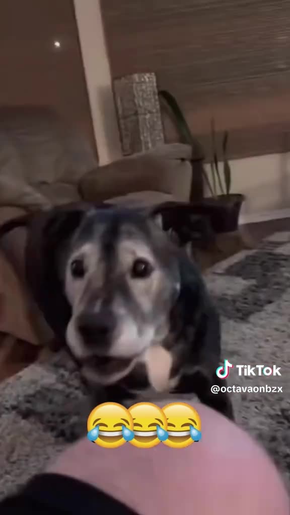 SASSING WEDNESDAY 10/15/25