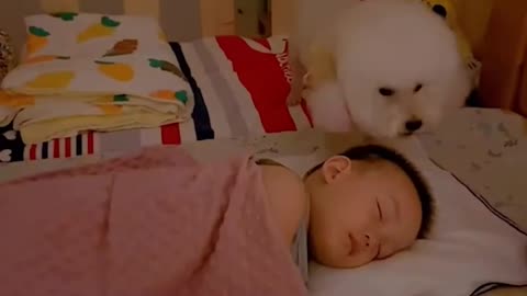 Transform Your Puppy Into the Perfect Companion!