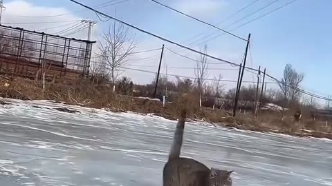 The moment a ridiculously beautiful backflip was born