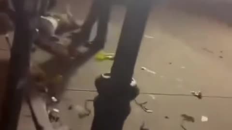 Chilling Raw Video of Aftermath of New Orleans Shooting - SAD New Years Day 2025 in New Orleans