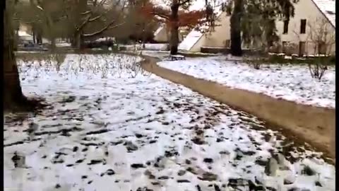 NourishedbyMusic-CreativeCommonsMeditationMusic｜CopyrightFreeAmbientMusicforYouTube-7xU0IcaJH