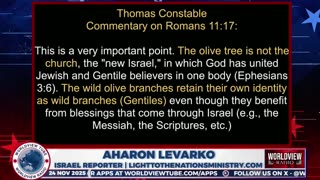 A Gentile & a Jew Take a Look at the Importance of Romans 11