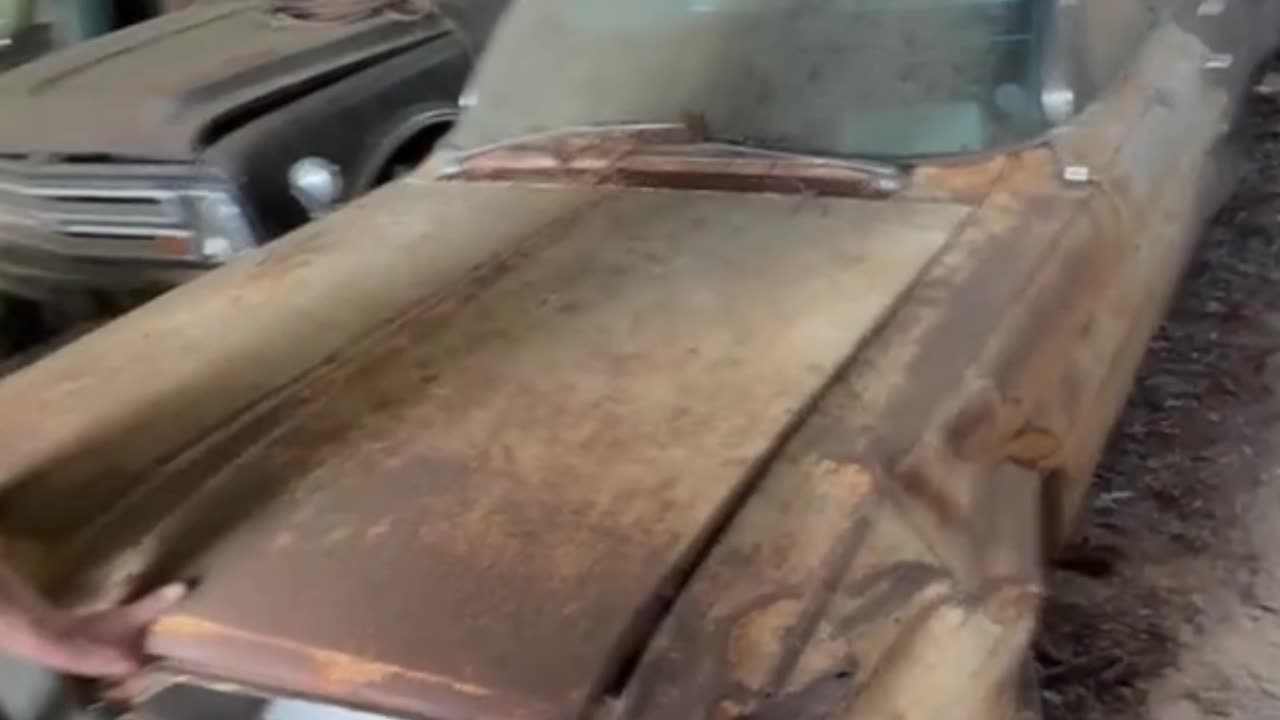 Secret southern barnfind classic Cars