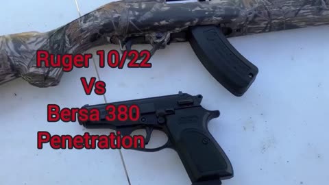 Bersa 380 and Ruger 10/22