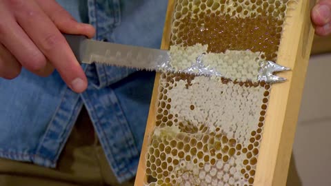 Mi Mascota y Yo - T03E16 - Abejas Melíferas