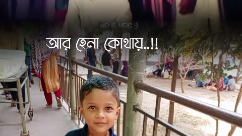 হেনা কই, আপনারা দেখছেন কোথায় ?