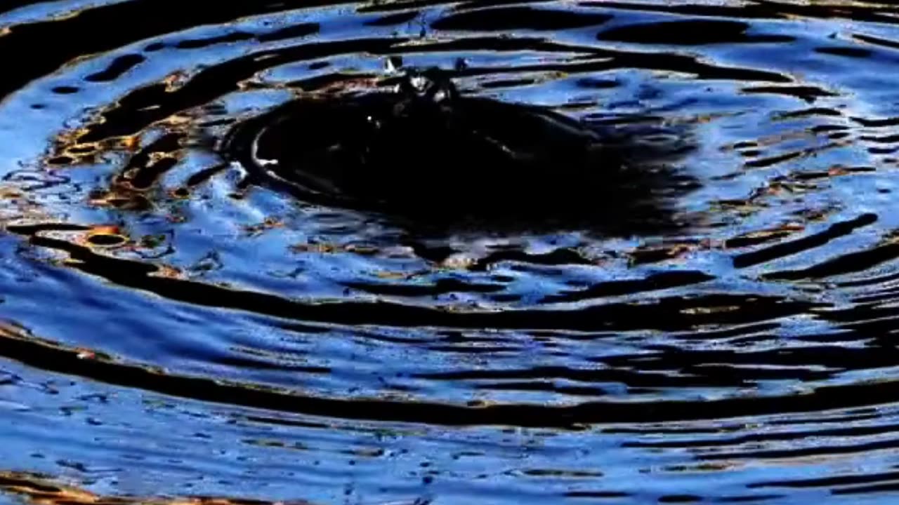 Align First, Act Second: The Secret to Magnetic Success #frequencyhealing #selfimprovement