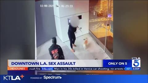 Walking Your Dog in Public in Broad Daylight in LA Is Not Safe, Especially for Women