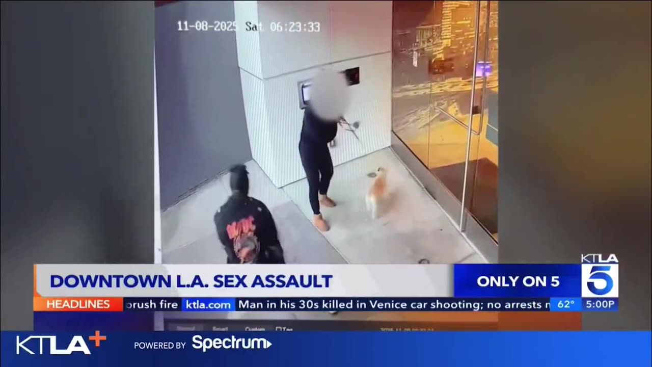 Walking Your Dog in Public in Broad Daylight in LA Is Not Safe, Especially for Women