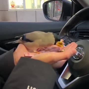 Grab and Go 👍😊