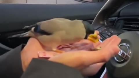 Grab and Go 👍😊