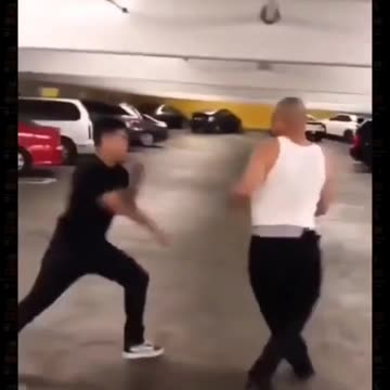 Trained fighter vs street retard