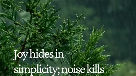 Minimal Mindset = Maximum Clarity