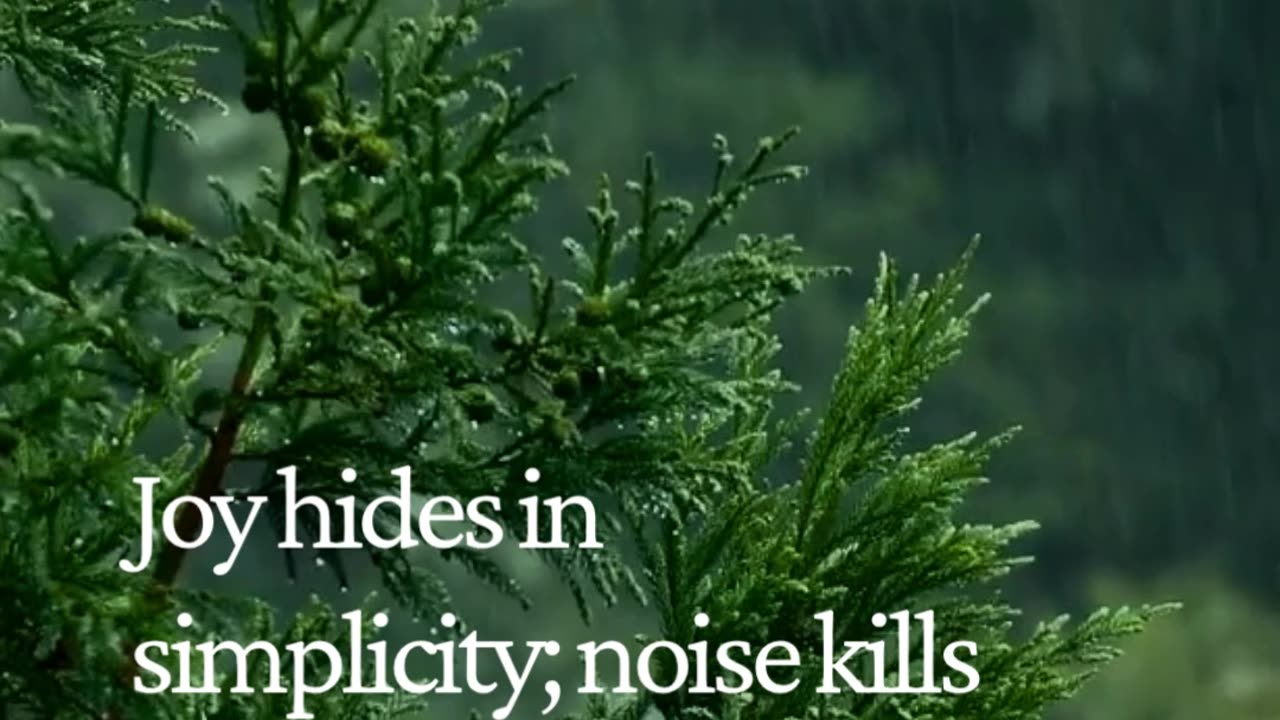 Minimal Mindset = Maximum Clarity