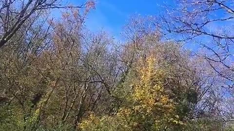 Cet agriculteur comprend que ce qu'il se passe dans le ciel n'est pas normal: