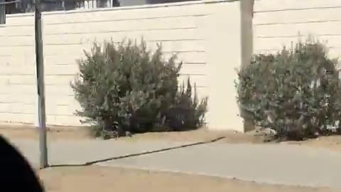 🤯✨ Mesmerizing Motion Artwork on a Bridge! | FeedMyCuriosity