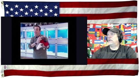 Un gars une fille - les magasins - compilation - Clothes and PetSores - REACTION