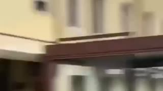 Italy is a jungle without rules.