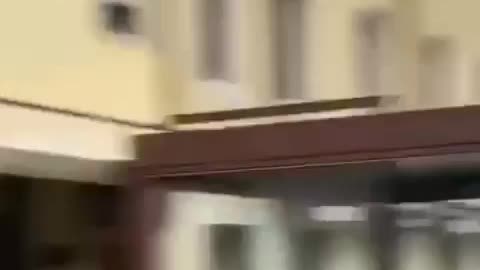 Italy is a jungle without rules.