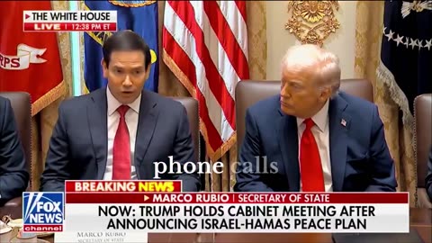 THE PLAN TO SAVE THE WORLD