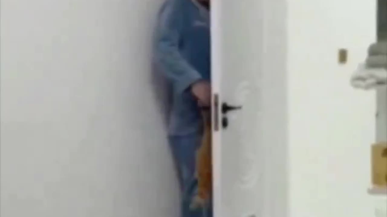 Playing hide and seek.. 😅