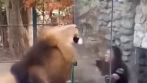 Try Not To Laugh 🎭Trending Video 19 #omthapa #shorts #funny #viral #funnyvideo #funnyfails #epicfail