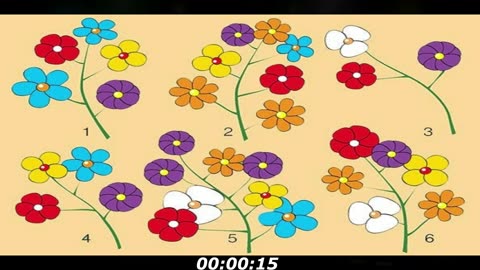Flower branch puzzle: Which flower branch is differently? Look carefully and count it
