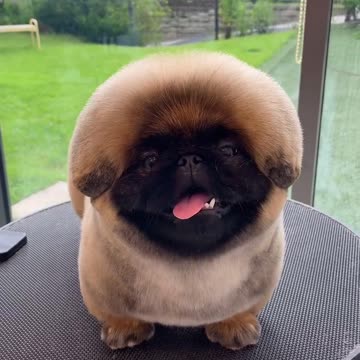 New look for the coming winter season