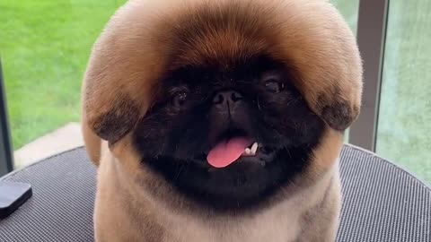 New look for the coming winter season