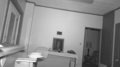 🗣️🏠 Listen Closely! Another EVP Captured at the Sallie House! | TheHauntingHour