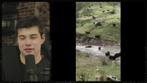 Friday Evening... Prehistoric To Current Animal News From Around The World...