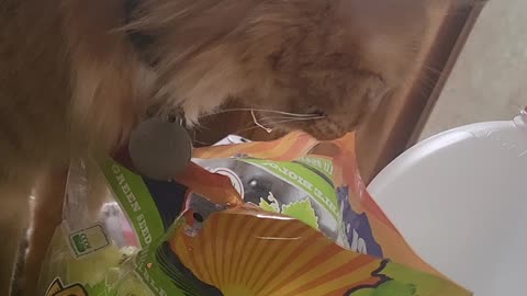 MacReady loves grape bags