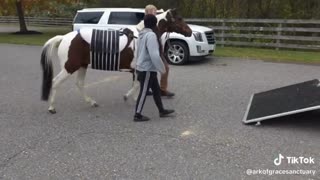 Exciting Update on Grace!