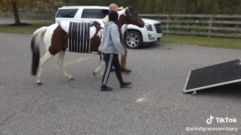 Exciting Update on Grace!
