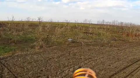 Skillful flying 👌