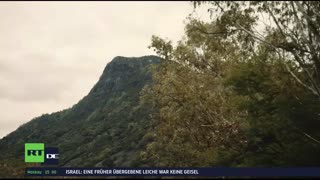 RT DE LIVE-TV