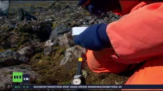 RT DE LIVE-TV